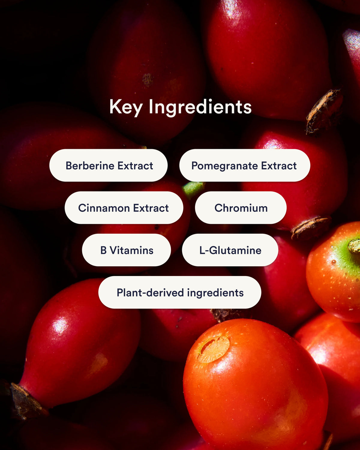Ingredientes principais dos Adesivos de Berberina